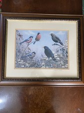 Vintage Framed Print Birds