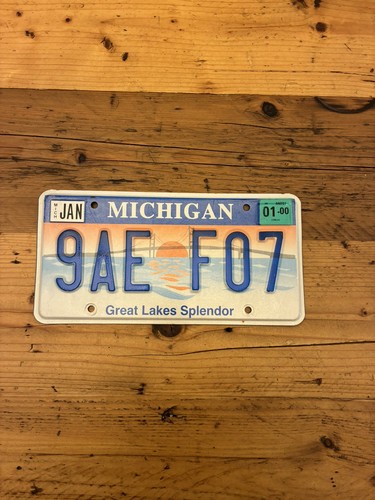 Vintage michigan great lakes - vintage,