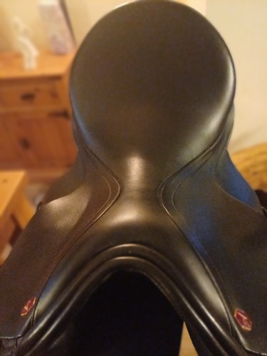 Albion dressage horse saddle - albion,