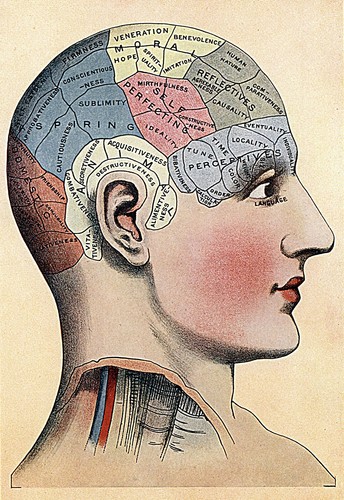 1914 medical print - 1914, phrenology