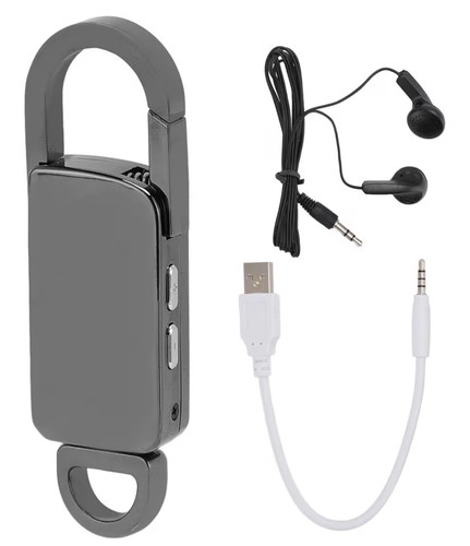 Hidden device voice - hidden, recorder