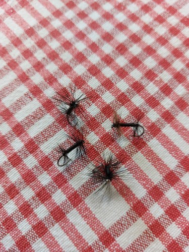 Knotted midge dry flies size - midge,