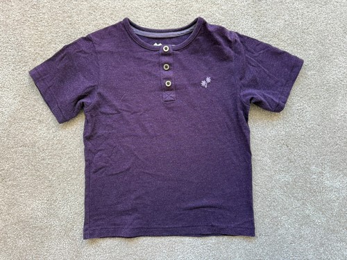 Years purple palm tree - 4,