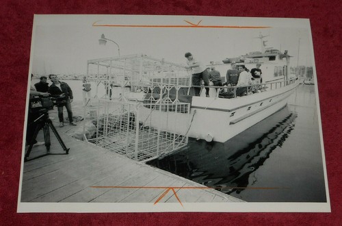 1992 press photo shark cage - press,
