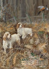 CLUMBER SPANIEL TWO DOGS AND