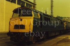 Colour photo (6" x 4")