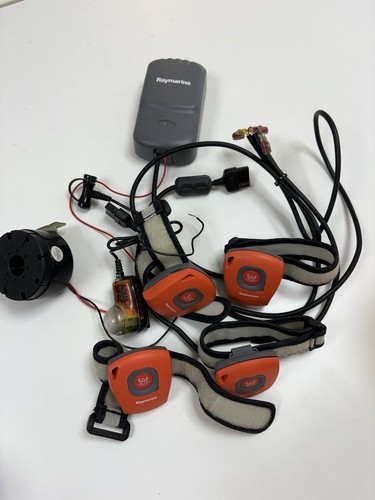 Raymarine lifetag mob - raymarine, system
