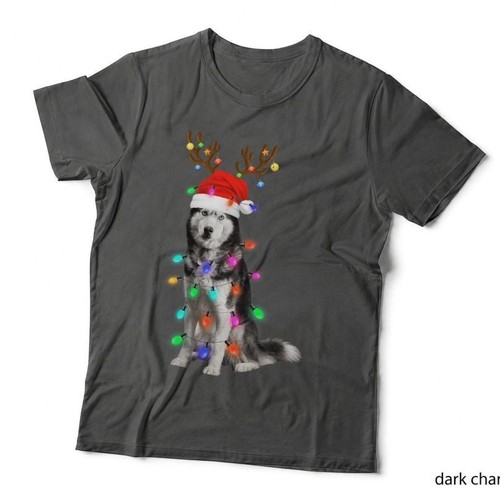 Funny siberian husky - siberian, with