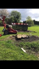 Stump Grinding / Stump Removal covering all of the West Midlands/ Warwickshire