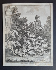 Antique 1792 British sporting