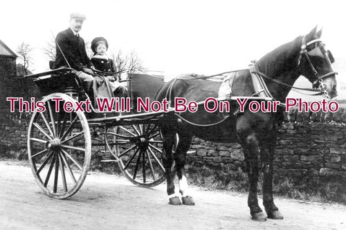 13814 horse trap - 13814, &