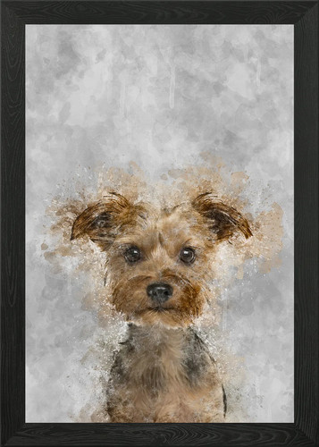 Yorkshire terrier puppy framed - terrier,