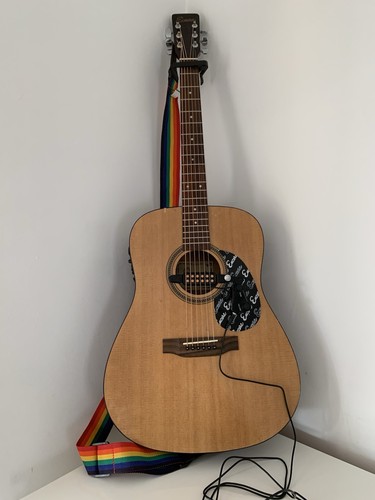 Encore w255 electro acoustic - encore,