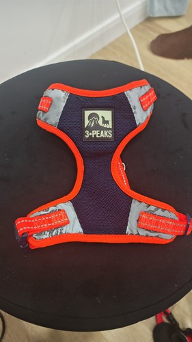Dog harness - dog,
