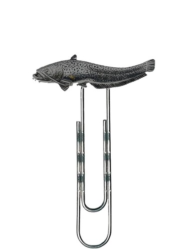 F46 wells catfish english - catfish,