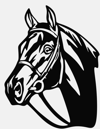 Horse car decal vinyl - horse,