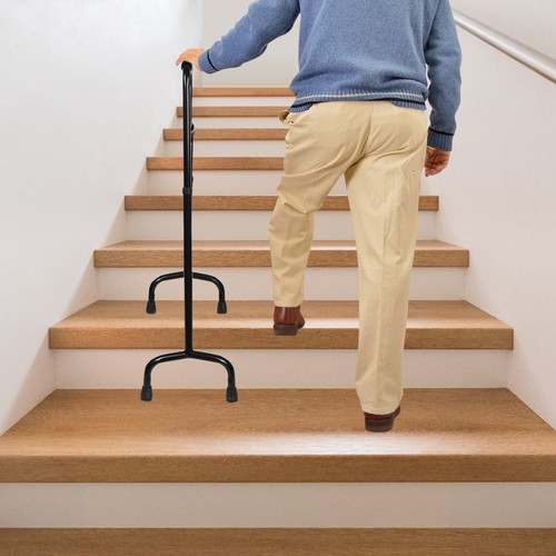 Stair climbing assist cane - stair,