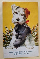 Bamforth Dog Postcard, Good