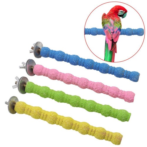 1xtrimming perch beak - perch, and