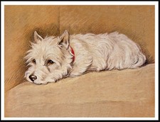 WESTIE TERRIER ASLEEP ON CHAIR