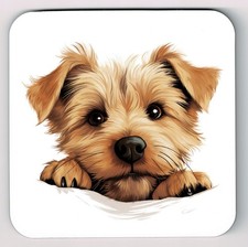 Peeking Peeping Norfolk Terrier Image Coaster,  Norfolk Terrier Picture Coaster