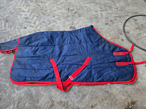 Turner equestrian stable - equestrian, 5'3''