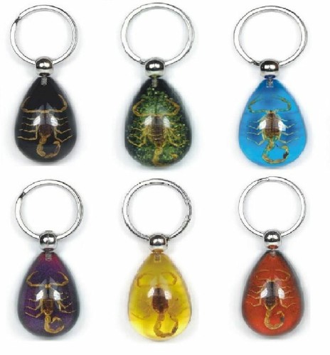 Real scorpion key ring - ring, chain