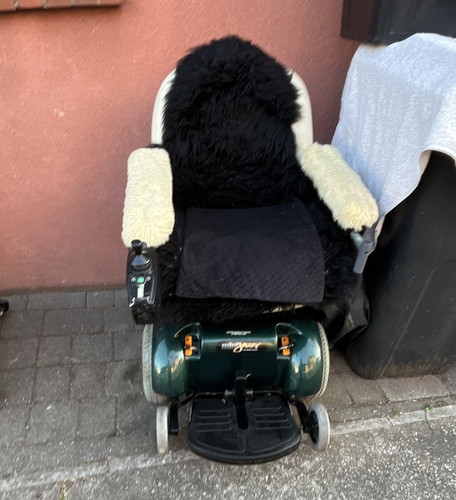 Pride jazzy powerchair green - powerchair,