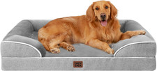 Orthopedic Dog Beds for Extra