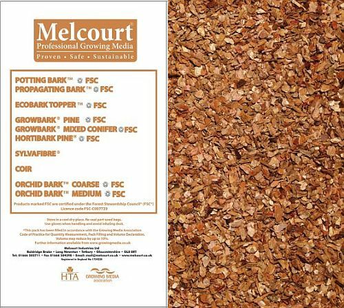 Melcourt medium orchid - melcourt, bark