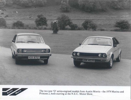 Morris marina princess - princess, 2