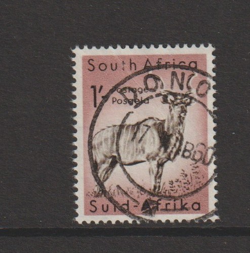 South africa 1954 cds - cds, 1/-