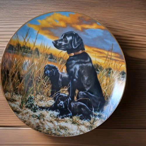 Labrador retrievers plate - retrievers,