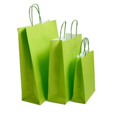Lime Green Paper Bags Twist Handle Party Gift Carrier / Paper Bags With Handles