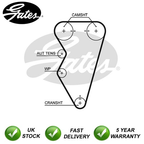 Timing cam belt - belt, tf