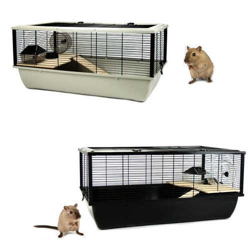 Rat hamster cage single tier - rat,