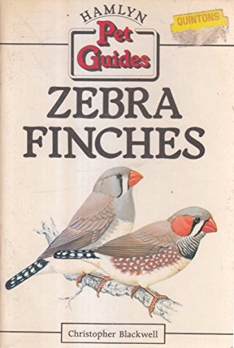 Zebra finches hamlyn pet - (hamlyn,