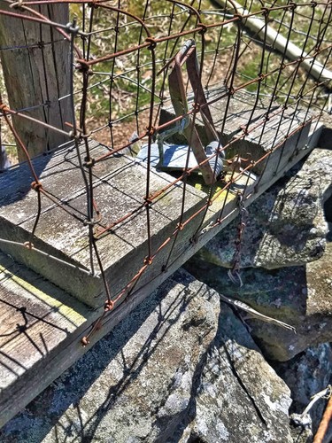 Photo 6x4 fenn trap - 6x4,
