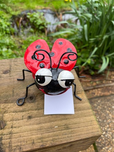 Medium decor ladybird outdoor - decor,