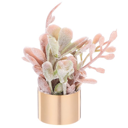Mini potted plants flower pots - mini,