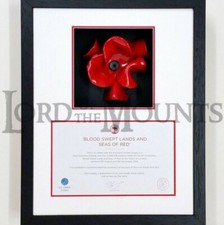 14x11" Remembrance Poppy