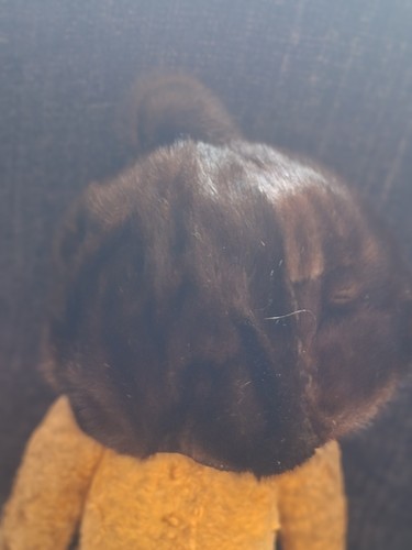 Vintage real mink - fur, hat