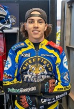 Sheffield tigers luke - sheffield, tigers--luke