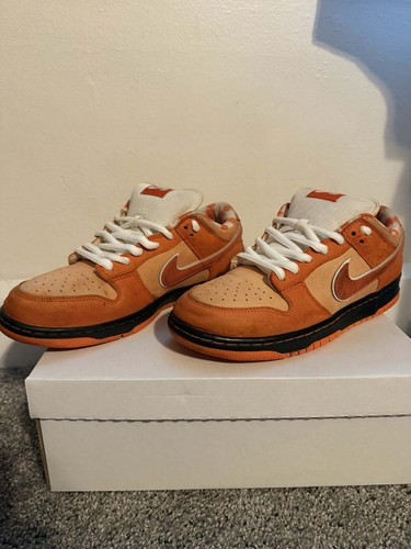 Nike dunk low concepts - nike, x