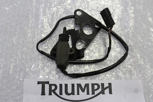 Triumph sprint 955i side - rs,