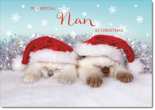 Doodlecards nan christmas card - doodlecards,