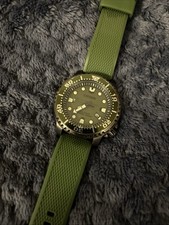 Citizen Promaster Eco-Drive