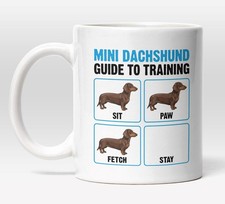 Mini Dachshund Guide to