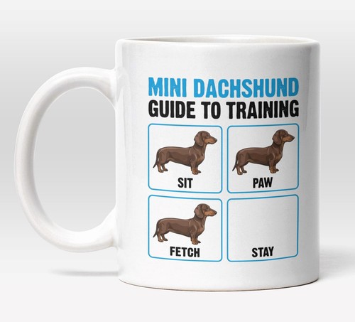 Mini dachshund guide - guide, to