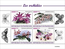 Orchids